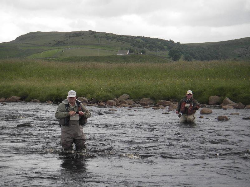 Wild Fly Fishing Upper River Tees
