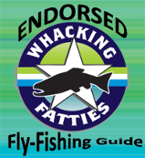 Endorsed Fly Fishing Guide