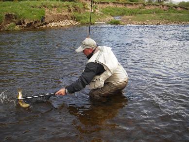 Fly Fishing Guide River Eden